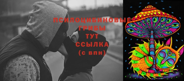 прущая мука Инта