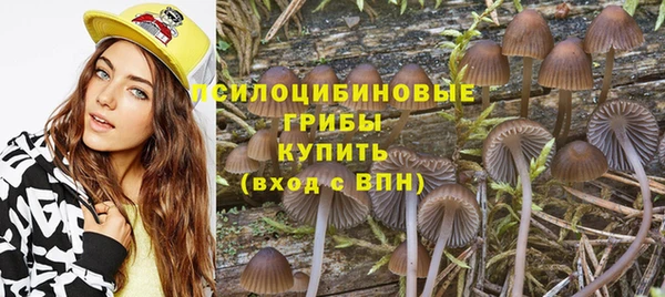 хмурый Иннополис