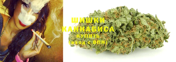 прущая мука Инта