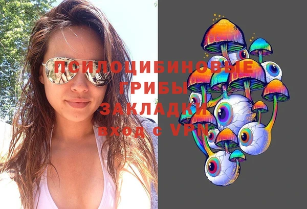метадон Инсар