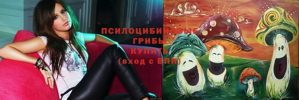 метадон Инсар